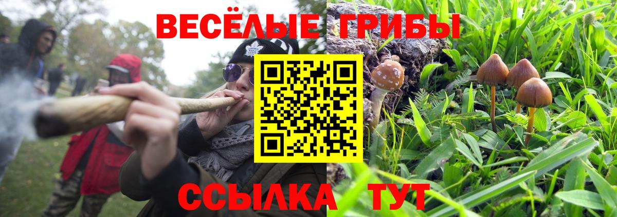Псилоцибиновые грибы прущие грибы  Вход с VPN  Магнитогорск 
