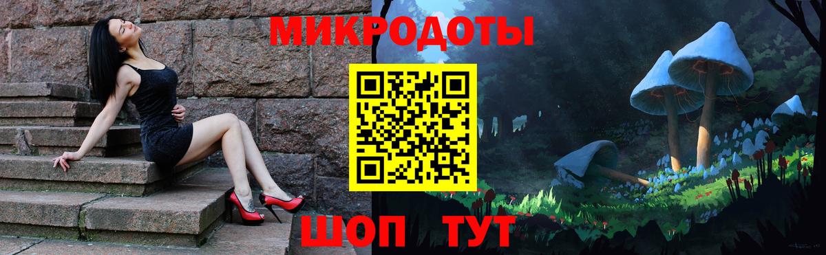 Галлюциногенные грибы Psilocybe Магнитогорск